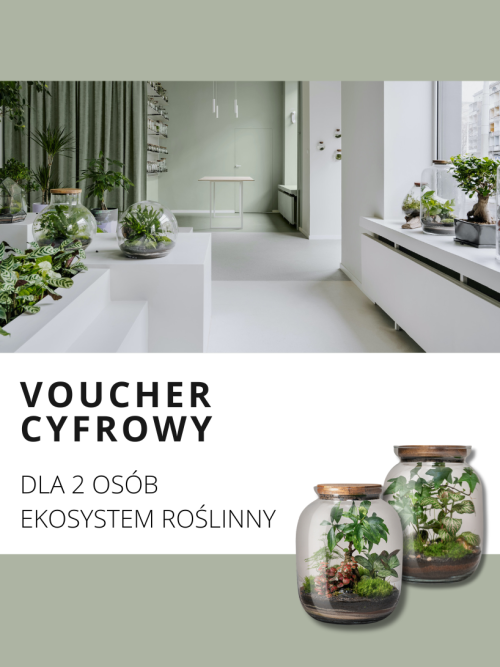VOUCHER Jak zrobić las w słoiku krok po kroku DIY