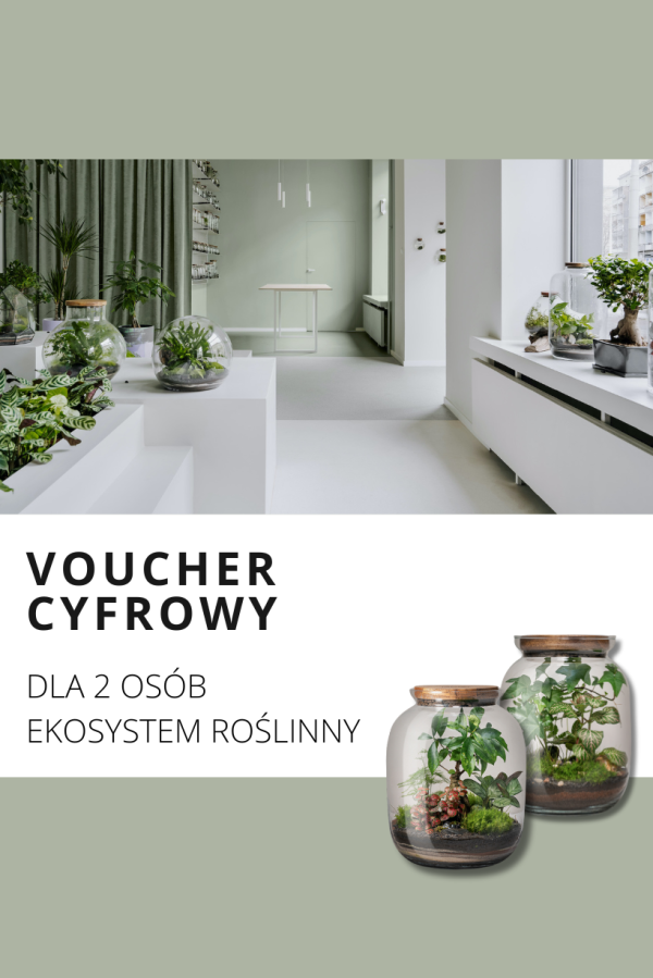 VOUCHER Jak zrobić las w słoiku krok po kroku DIY