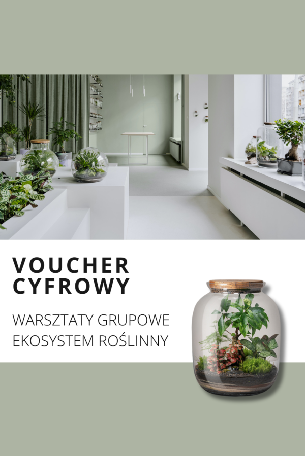 Warsztaty las w Słoiku Voucher