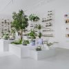 Sklep Las w Słoiku Wrocław Terrarium Szkło Rośliny