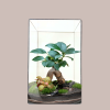 las w słoiku terrarium