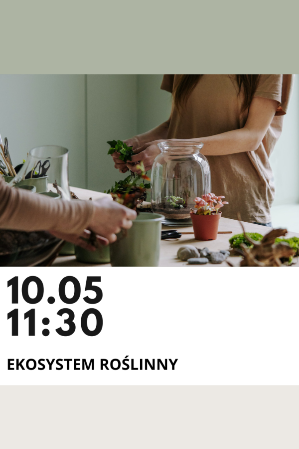warsztaty las w słoiku