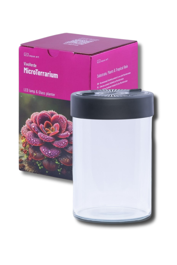 Rośliny owadożerne terrarium 1