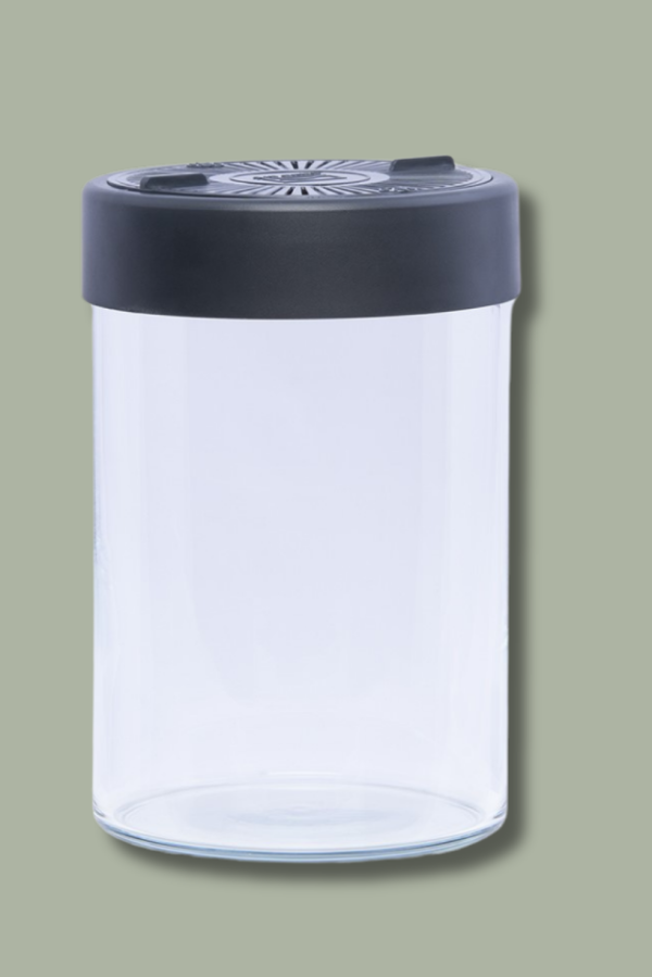 Rośliny owadożerne terrarium