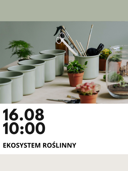 warsztaty las w słoiku