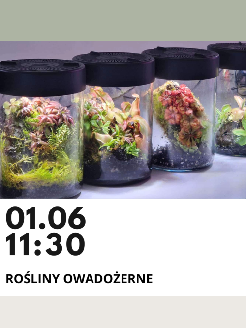 warsztaty rośliny owadożerne