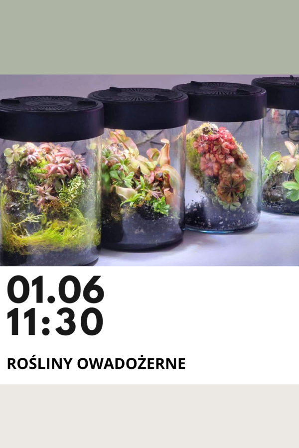 warsztaty rośliny owadożerne