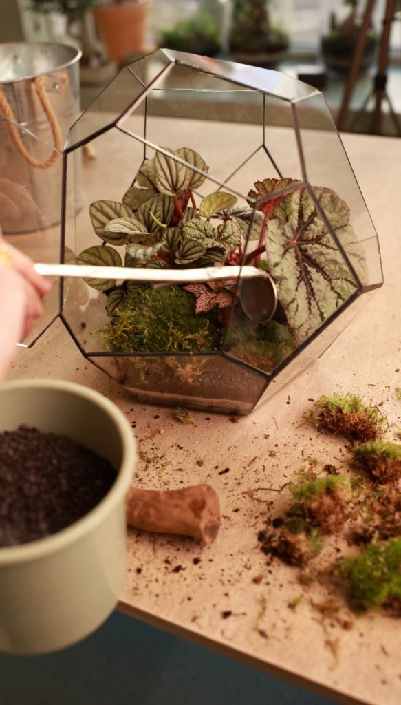 Martyna Jasińska Nature Concept Las w Słoiku